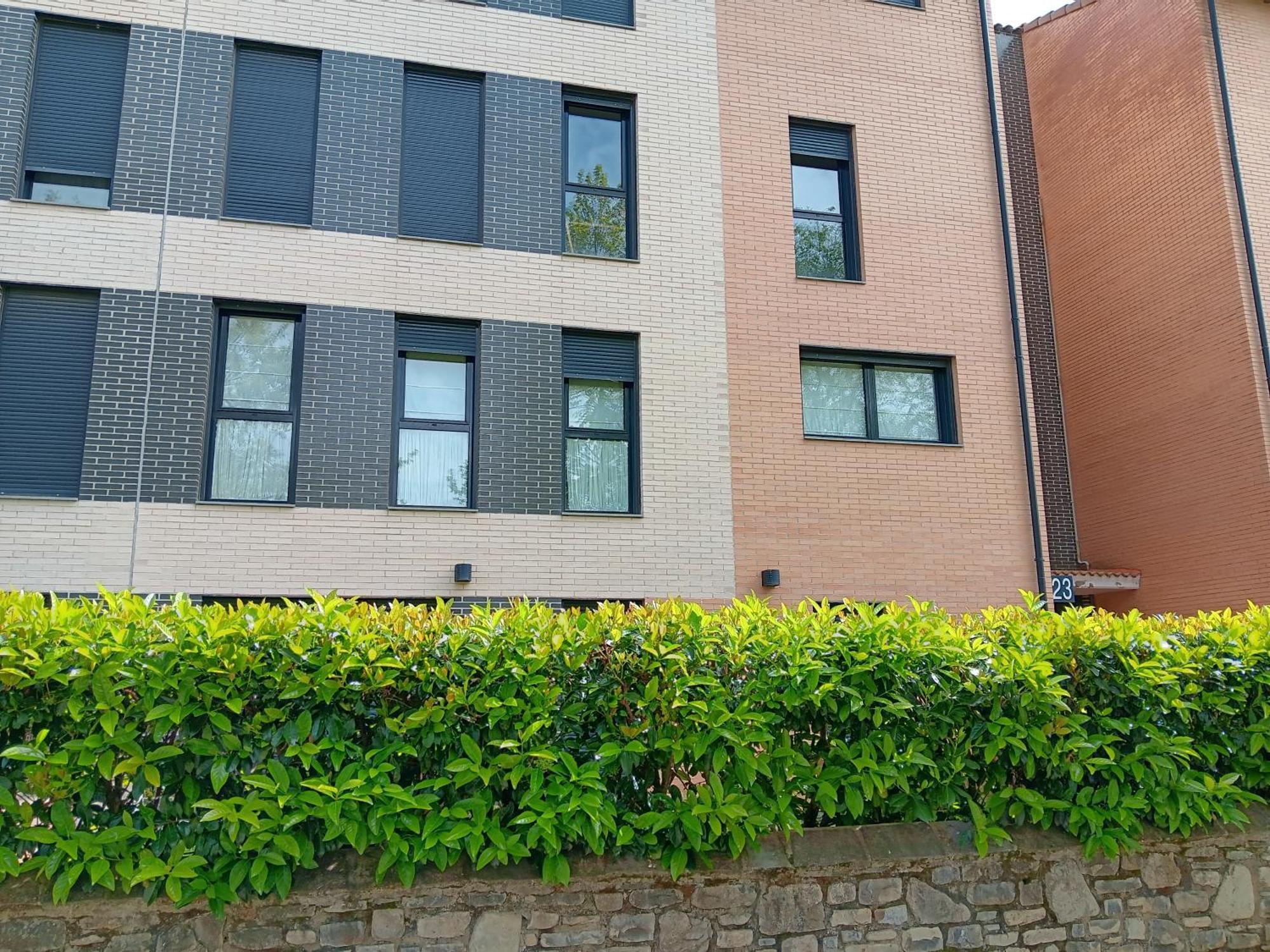 Camino Santiago Etxea Apartment ฮากา ภายนอก รูปภาพ